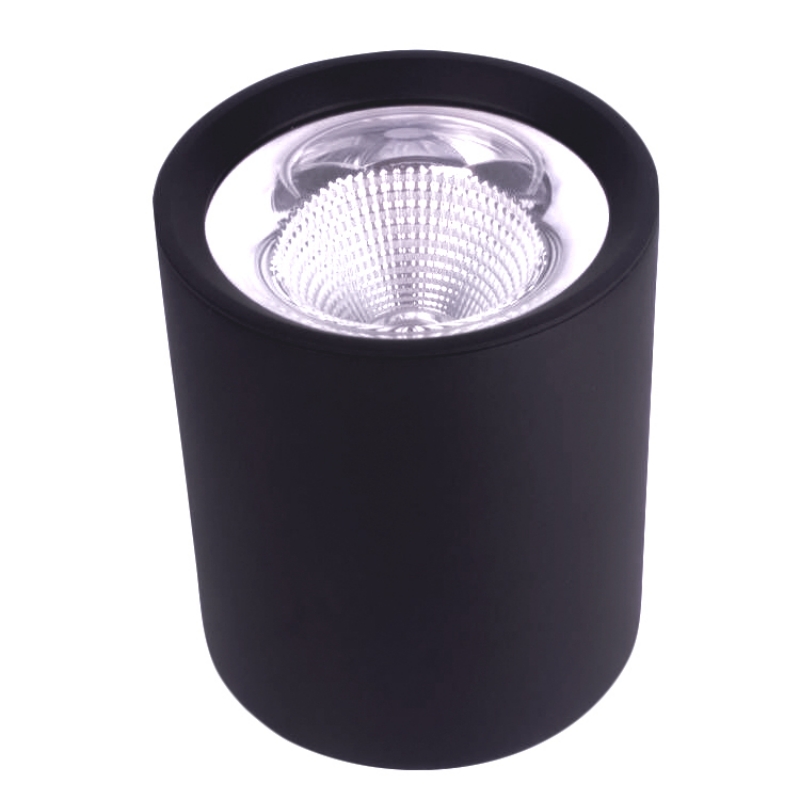 Modern Cylinder Ceiling Surface Mount Downlight (Body-Black)